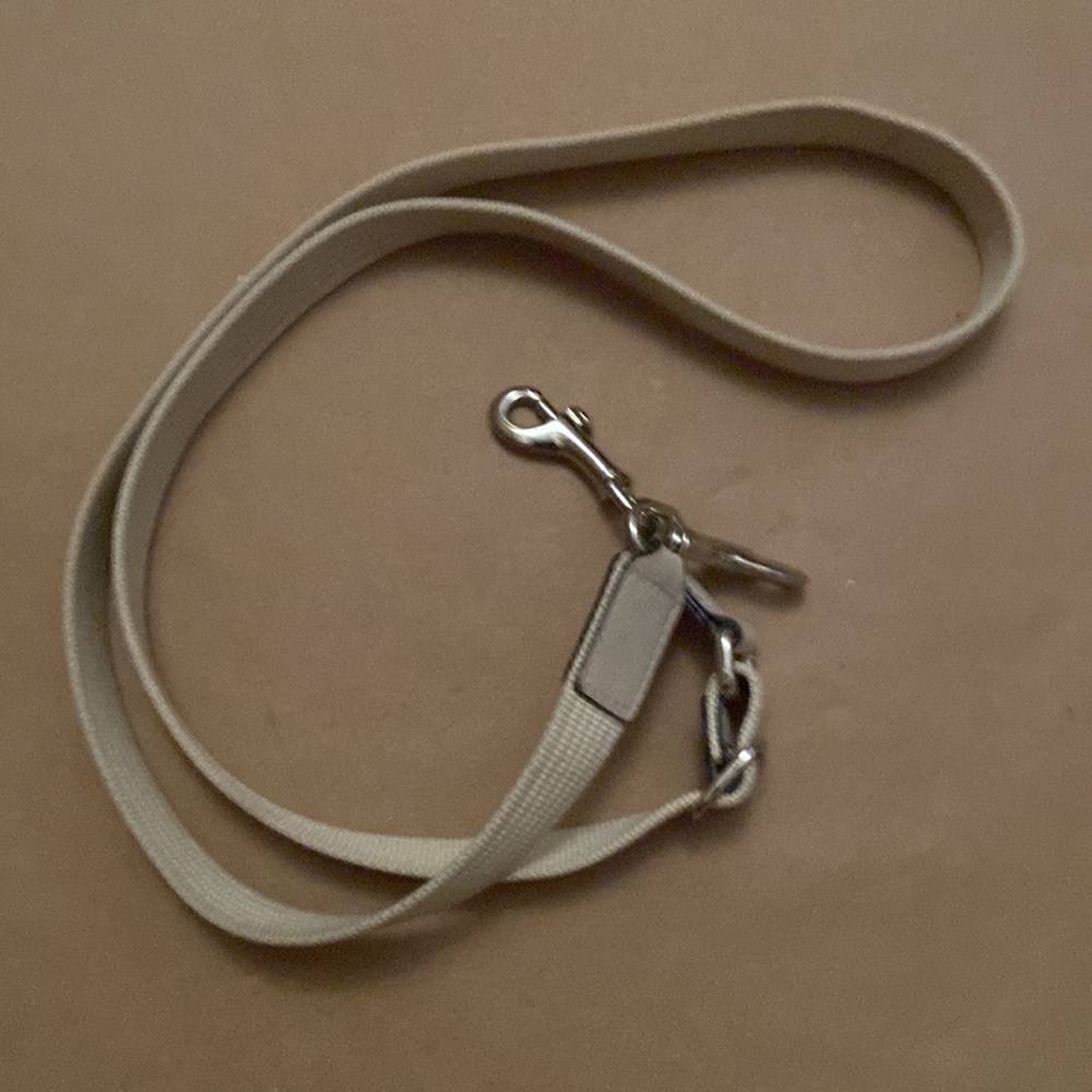 Coach strap - Picture 2 of 3